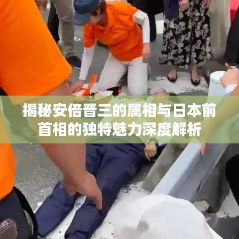 揭秘安倍晋三的属相与日本前首相的独特魅力深度解析