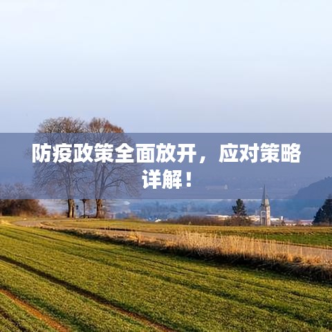 防疫政策全面放开，应对策略详解！