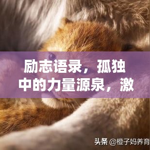 励志语录，孤独中的力量源泉，激发无尽潜能