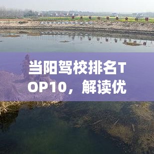 当阳驾校排名TOP10,解读优质驾驶教育的明智之选