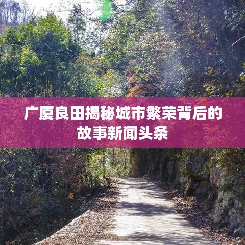 广厦良田揭秘城市繁荣背后的故事新闻头条