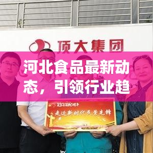 河北食品最新动态,引领行业趋势,聚焦前沿资讯