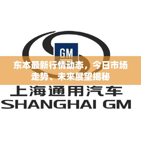 东本最新行情动态，今日市场走势、未来展望揭秘
