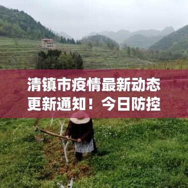 清镇市疫情最新动态更新通知!今日防控进展揭秘!