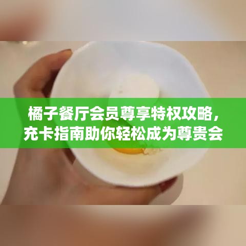 橘子餐厅会员尊享特权攻略，充卡指南助你轻松成为尊贵会员！
