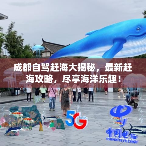 成都自驾赶海大揭秘，最新赶海攻略，尽享海洋乐趣！