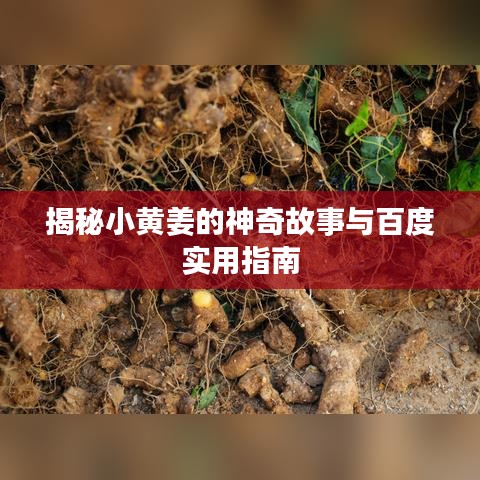 揭秘小黄姜的神奇故事与百度实用指南