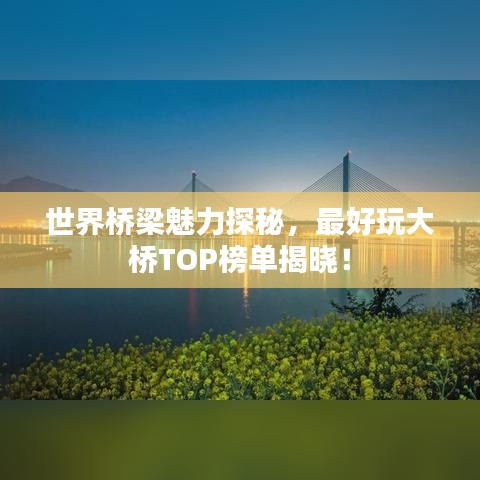 世界桥梁魅力探秘，最好玩大桥TOP榜单揭晓！