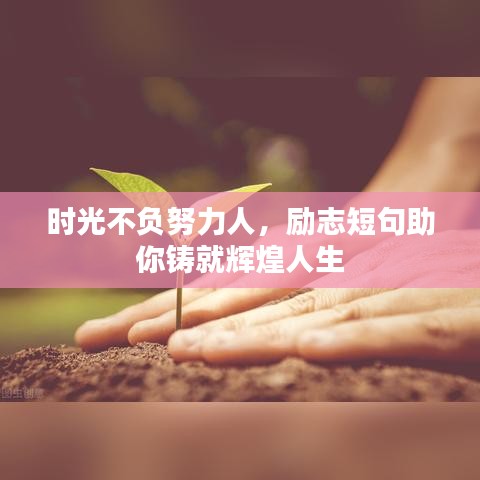 时光不负努力人,励志短句助你铸就辉煌人生