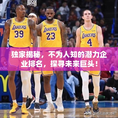 独家揭秘，不为人知的潜力企业排名，探寻未来巨头！