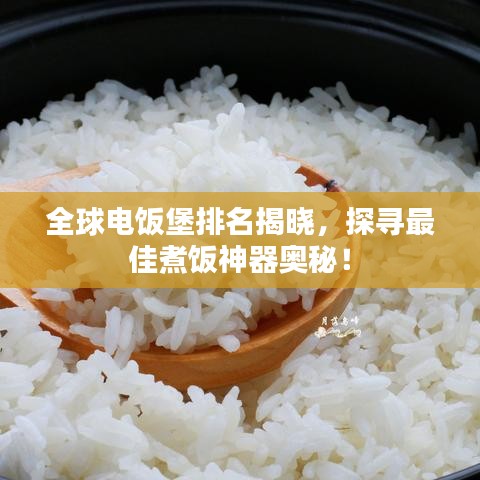 全球电饭堡排名揭晓，探寻最佳煮饭神器奥秘！