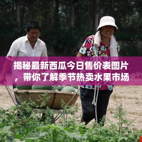 揭秘最新西瓜今日售价表图片，带你了解季节热卖水果市场动态！