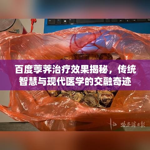 百度荸荠治疗效果揭秘，传统智慧与现代医学的交融奇迹