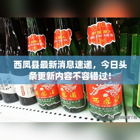 西凤县最新消息速递，今日头条更新内容不容错过！