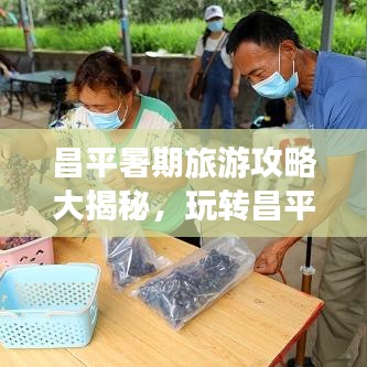 昌平暑期旅游攻略大揭秘，玩转昌平，尽享夏日风情！