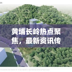 黄埔长岭热点聚焦,最新资讯传递,时事新闻头条