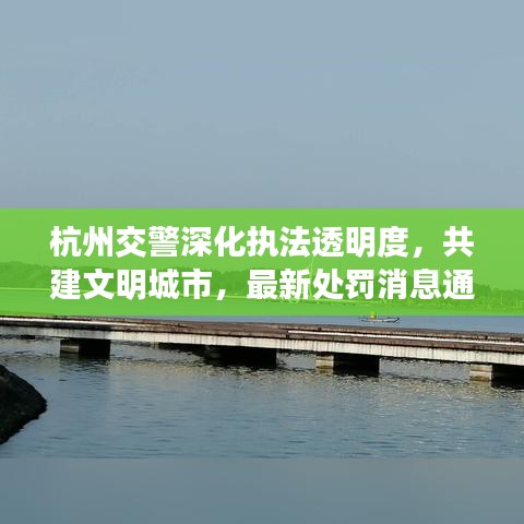 杭州交警深化执法透明度,共建文明城市,最新处罚消息通知发布