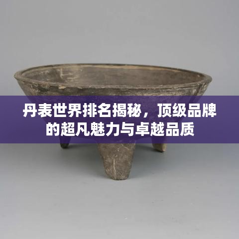 丹表世界排名揭秘，顶级品牌的超凡魅力与卓越品质