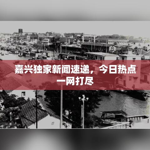 嘉兴独家新闻速递，今日热点一网打尽