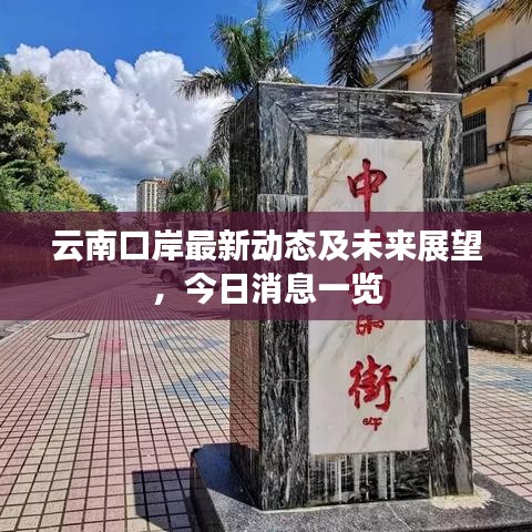 云南口岸最新动态及未来展望，今日消息一览