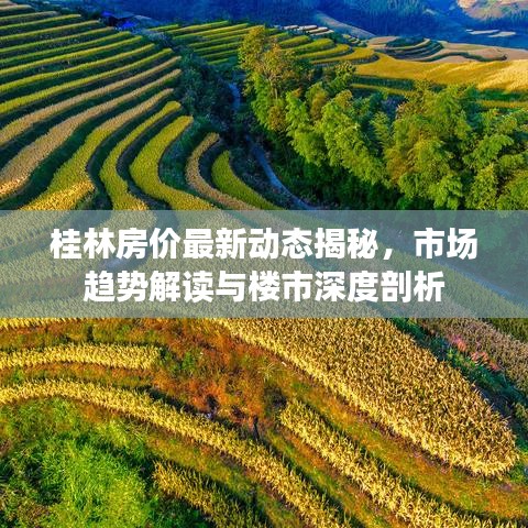 桂林房价最新动态揭秘,市场趋势解读与楼市深度剖析