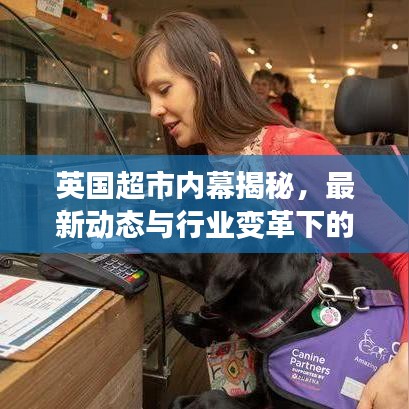 英国超市内幕揭秘，最新动态与行业变革下的消费者洞察