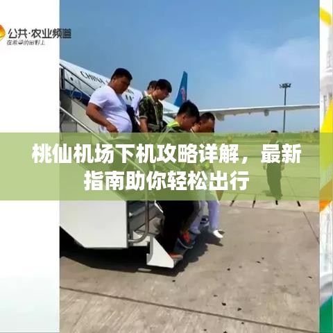 桃仙机场下机攻略详解，最新指南助你轻松出行