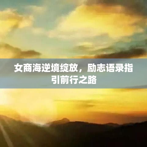 女商海逆境绽放，励志语录指引前行之路