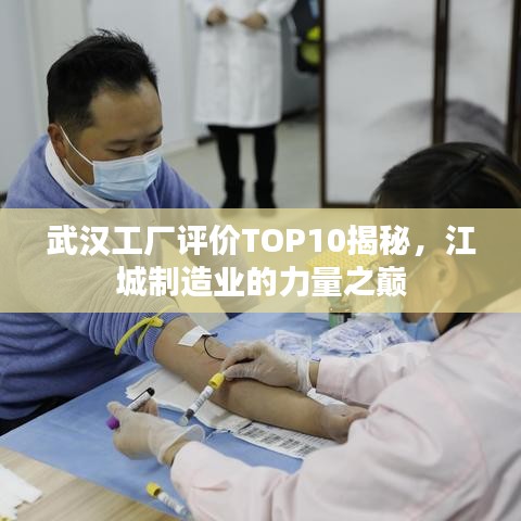 武汉工厂评价TOP10揭秘,江城制造业的力量之巅