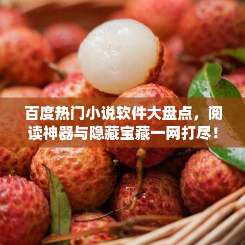 百度热门小说软件大盘点，阅读神器与隐藏宝藏一网打尽！