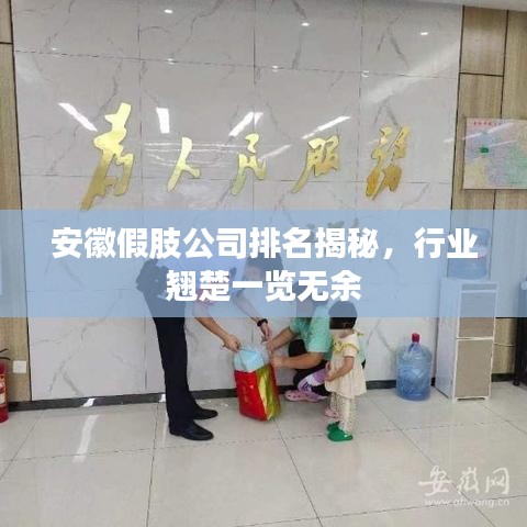 安徽假肢公司排名揭秘，行业翘楚一览无余