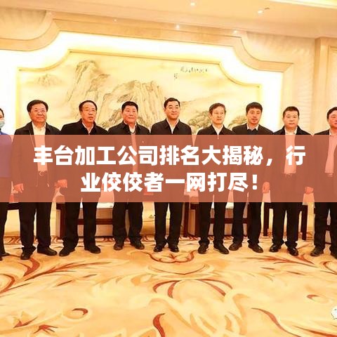 丰台加工公司排名大揭秘，行业佼佼者一网打尽！