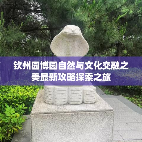 钦州园博园自然与文化交融之美最新攻略探索之旅