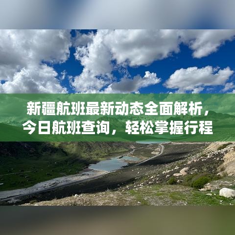 新疆航班最新动态全面解析，今日航班查询，轻松掌握行程安排