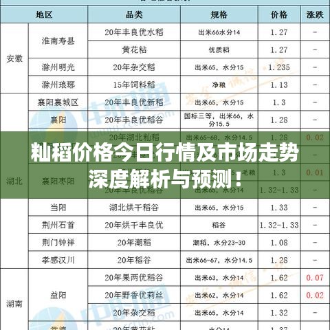 籼稻价格今日行情及市场走势深度解析与预测！
