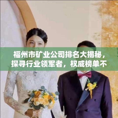 福州市矿业公司排名大揭秘，探寻行业领军者，权威榜单不容错过！