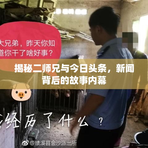 揭秘二师兄与今日头条，新闻背后的故事内幕