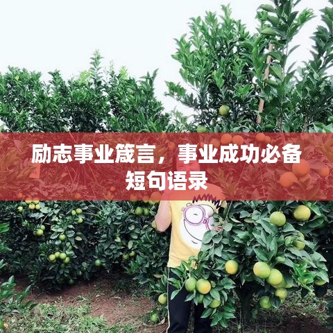 励志事业箴言，事业成功必备短句语录