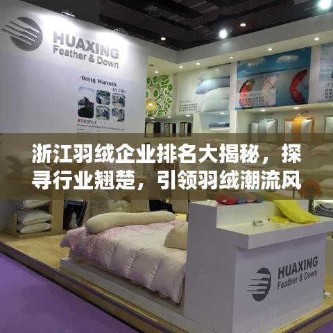 浙江羽绒企业排名大揭秘，探寻行业翘楚，引领羽绒潮流风向标！