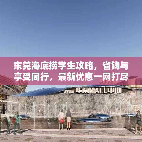 东莞海底捞学生攻略，省钱与享受同行，最新优惠一网打尽！