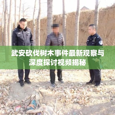 武安砍伐树木事件最新观察与深度探讨视频揭秘