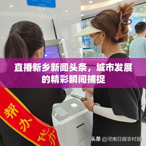 直播新乡新闻头条，城市发展的精彩瞬间捕捉