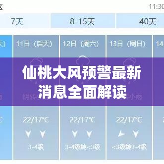 仙桃大风预警最新消息全面解读