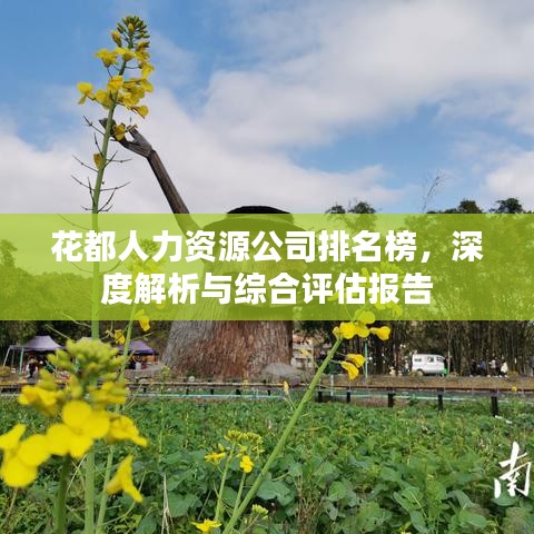 花都人力资源公司排名榜，深度解析与综合评估报告