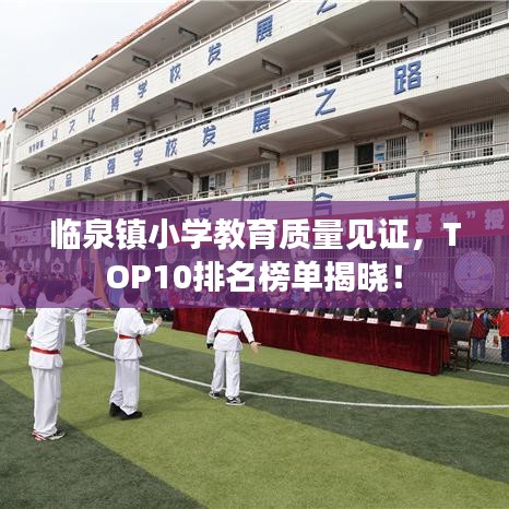 临泉镇小学教育质量见证,TOP10排名榜单揭晓!