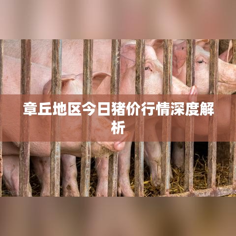 章丘地区今日猪价行情深度解析