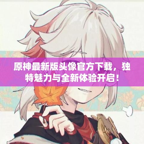 原神最新版头像官方下载，独特魅力与全新体验开启！