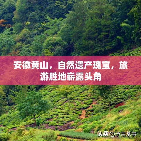 安徽黄山，自然遗产瑰宝，旅游胜地崭露头角