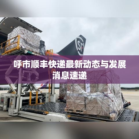 呼市顺丰快递最新动态与发展消息速递