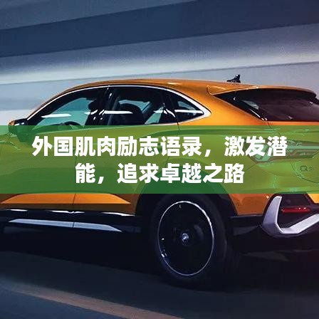 外国肌肉励志语录，激发潜能，追求卓越之路